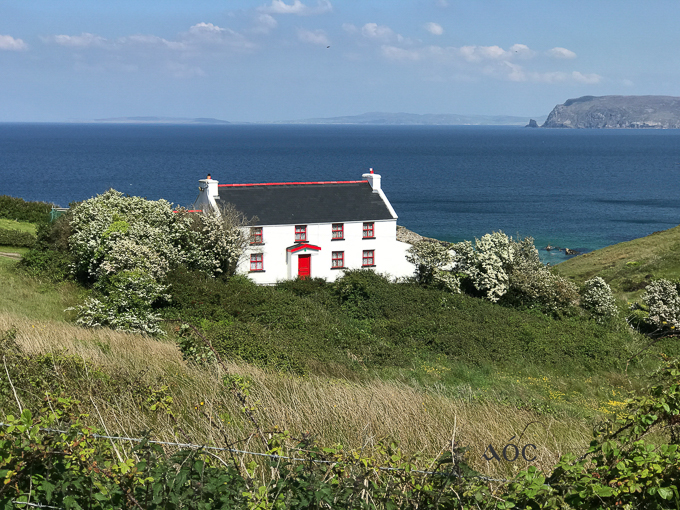 Donegal 7